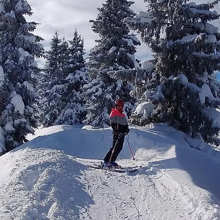 Apartment-alpenfantasie *