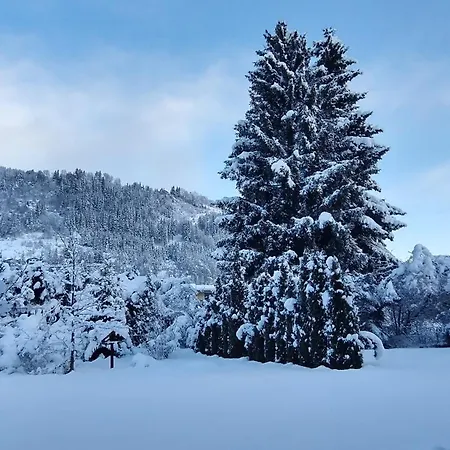 Apartment-alpenfantasie アパート