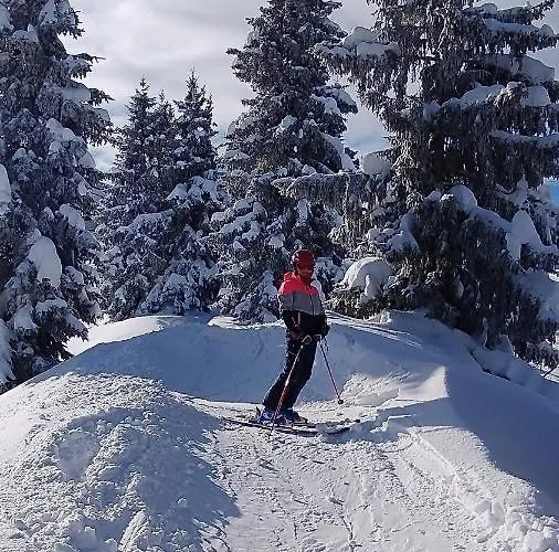 Apartment-alpenfantasie *