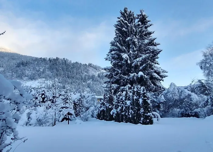 Apartment-alpenfantasie アパート